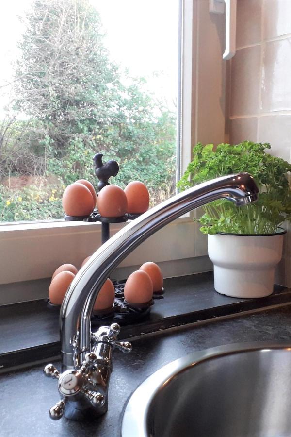 Hoeve Schevey Malines Extérieur photo