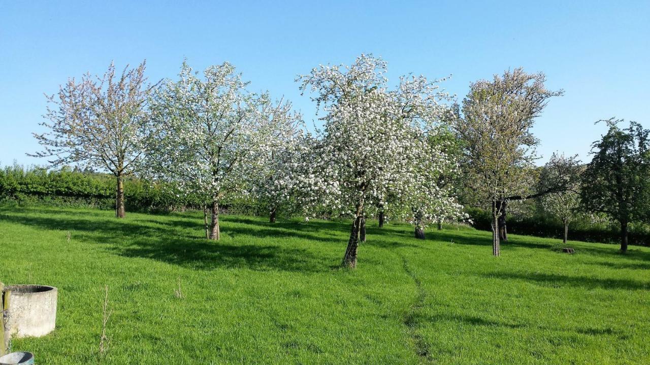 Hoeve Schevey Malines Extérieur photo